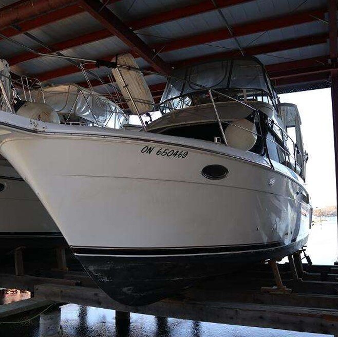 8299 666107 23536706 Carver 356 My