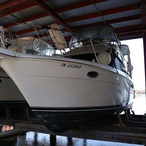2000 Carver 356 MY