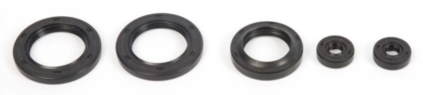 VertexWinderosa Oil Seal Sets Fits Polaris 059405