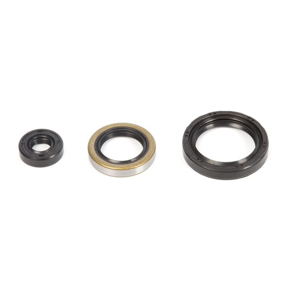 VertexWinderosa Oil Seal Sets Fits Polaris 059406