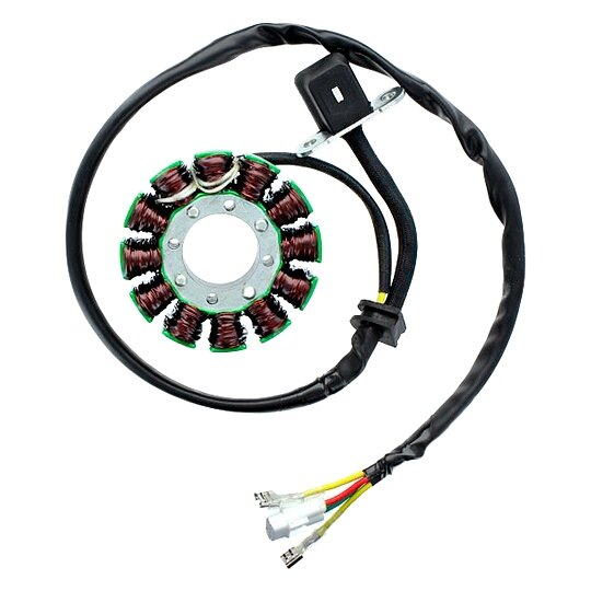 ElectroSport Stator Fits KTM 151165