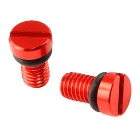 DRC ZETA Air Valve Cap Screw