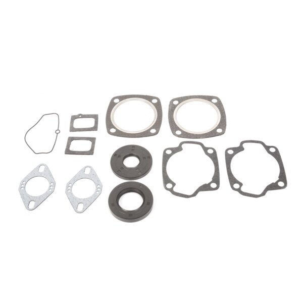 VertexWinderosa Professional Complete Gasket Sets with Oil Seals Fits Ski doo 09 711023