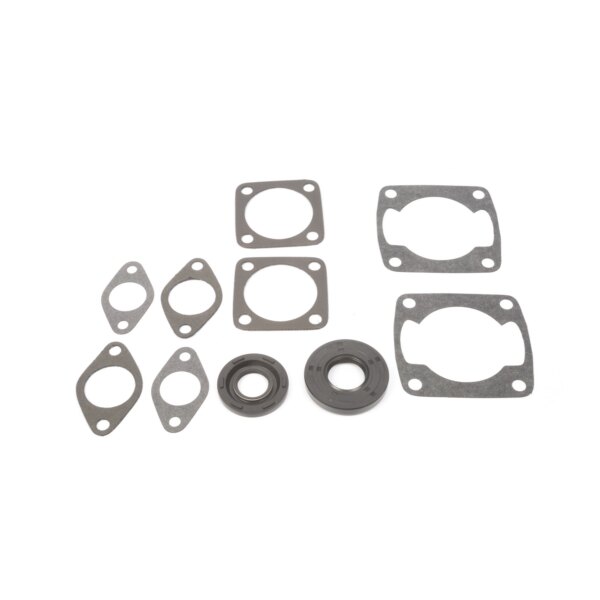 VertexWinderosa Professional Complete Gasket Sets with Oil Seals Fits Arctic cat 09 711058