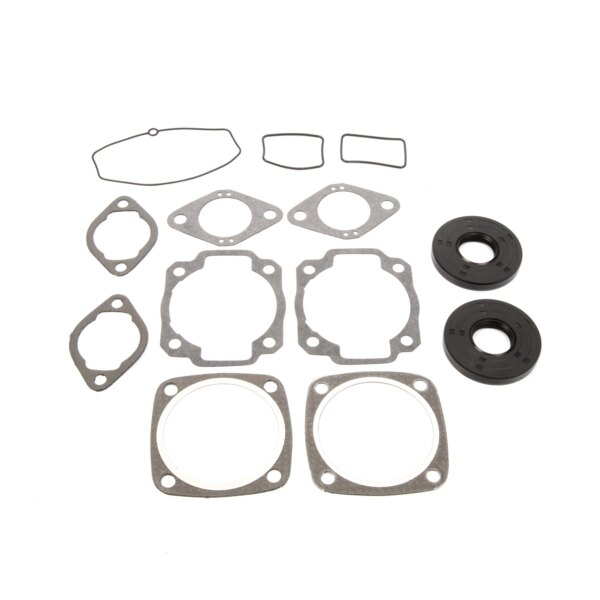 VertexWinderosa Professional Complete Gasket Sets with Oil Seals Fits Ski doo 09 711021X