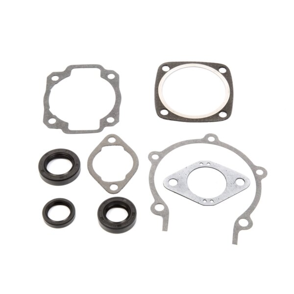 VertexWinderosa Professional Complete Gasket Sets with Oil Seals Fits Ski doo 09 711022Y