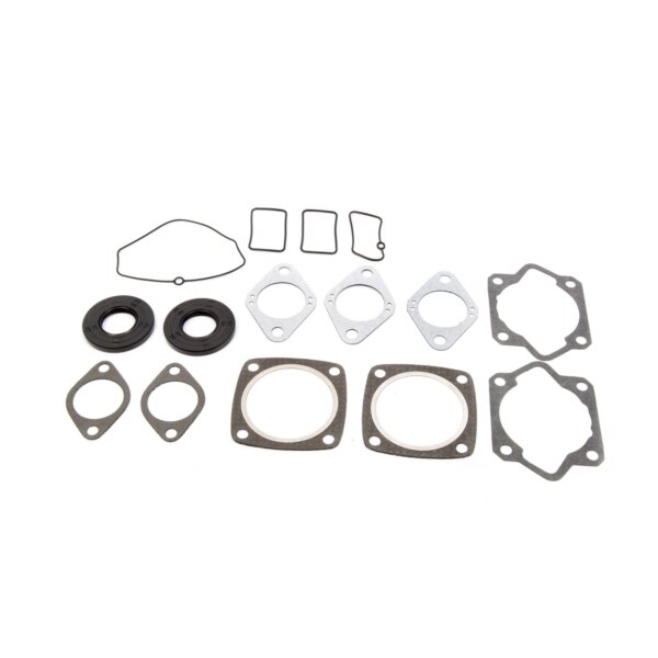 VertexWinderosa Professional Complete Gasket Sets with Oil Seals Fits Moto Ski, Fits Ski doo 09 711084A