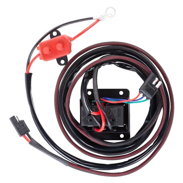 Relais Panthère 715709