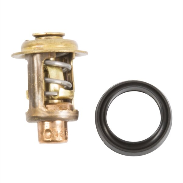Sierra Kit de thermostat pour Mercury, pour Mariner 18 3672