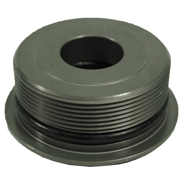 BRP Evinrude O Ring & Cap