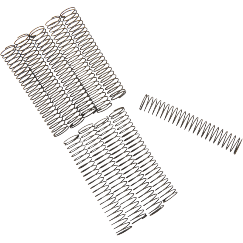 CK VALVE SPRNG 81 99 BT 10PK