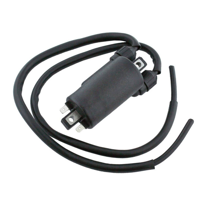 IGNITION COIL GL1200 84 87