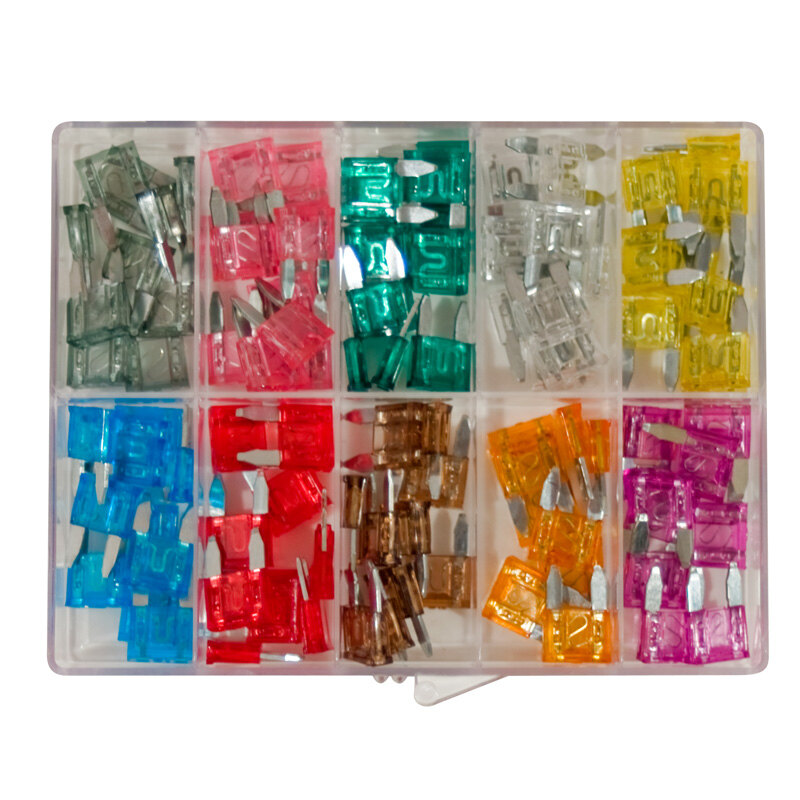 FLAT MINI FUSES SET 100PCS.
