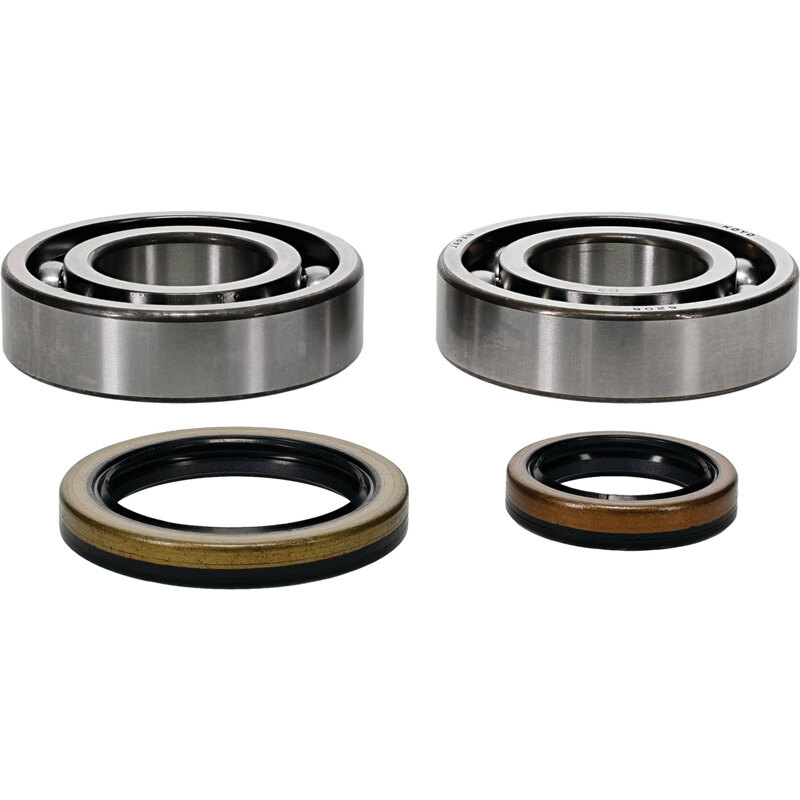 CRANKSHAFT BEARING KIT BETA EVO 4T 300 09 21