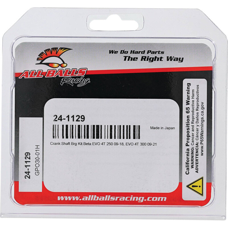 CRANKSHAFT BEARING KIT BETA EVO 4T 300 09 21