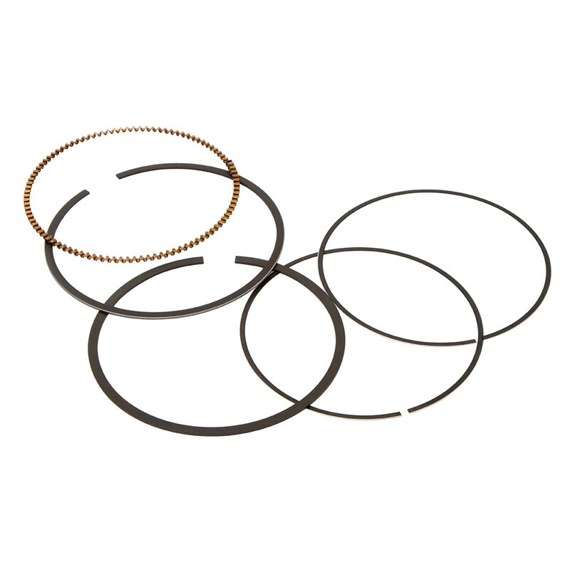 REPLACEMENT RING(S) (10195MM)