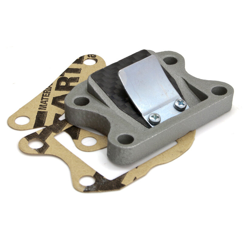 REED VALVE CARBON S3R SPEEDFIGHT/VIVACITY 2009