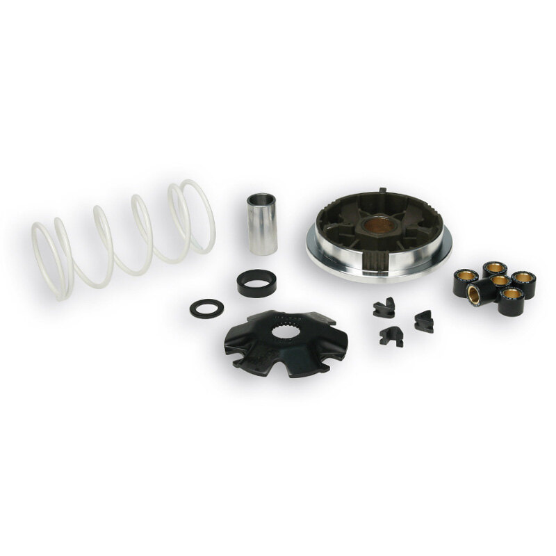 @VARIATOR MULTIVAR SR50 DI TECH 04 05/FACTORY 2006