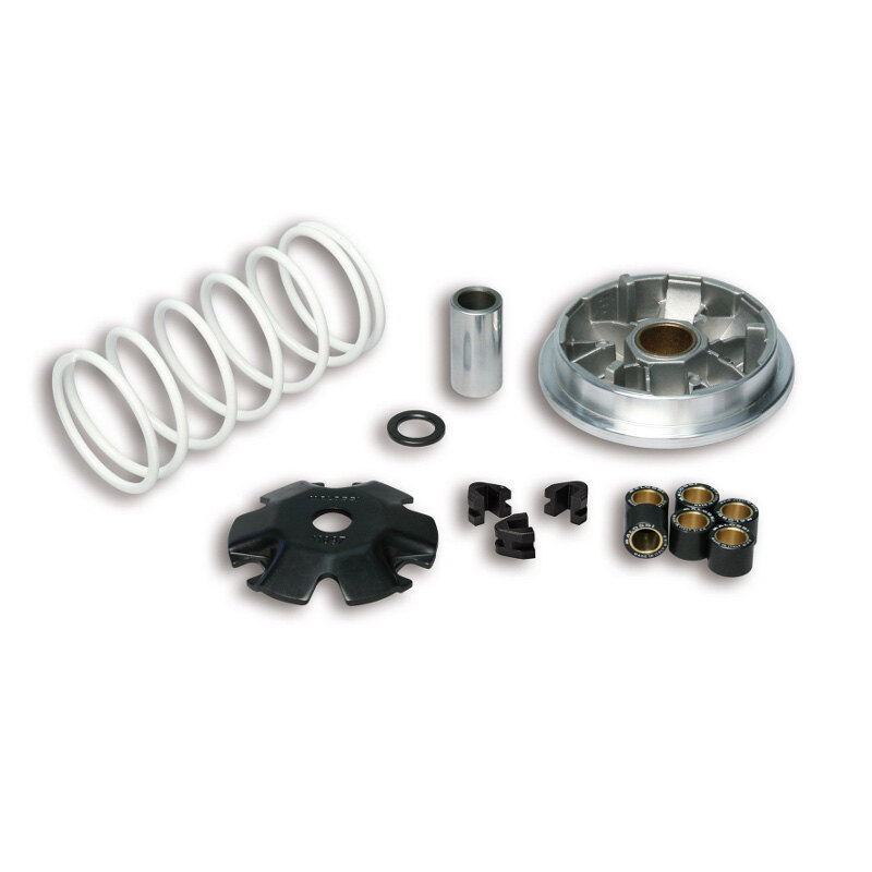 VARIATOR MULTIVAR SYM MIO