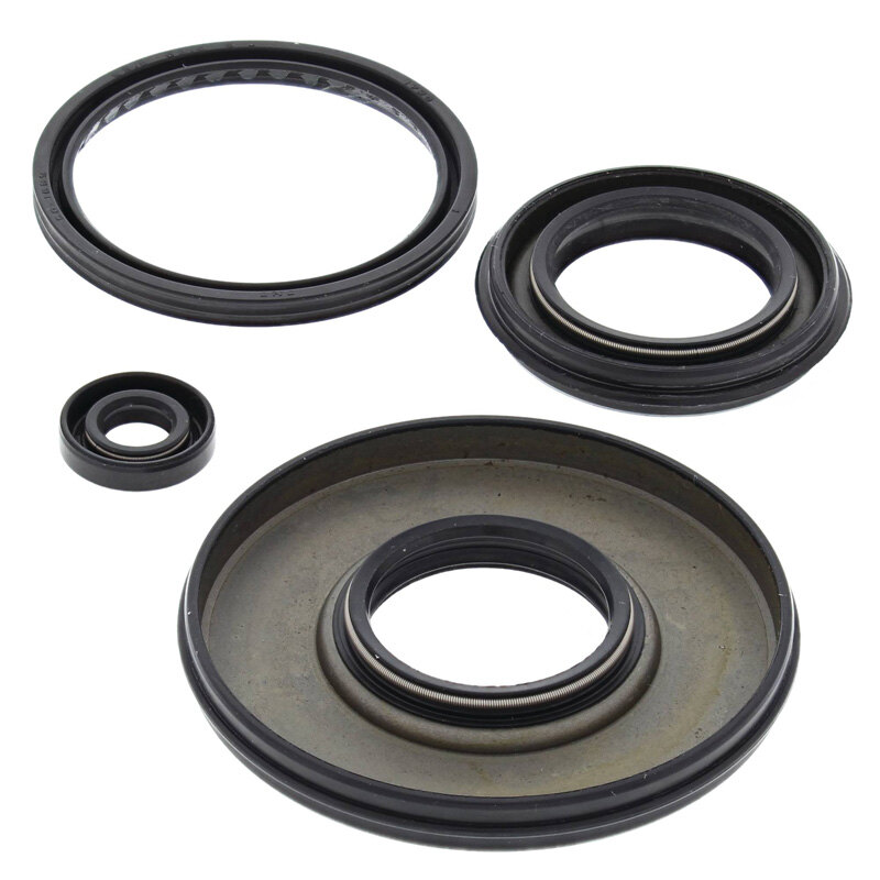 OIL SEAL KIT PHAZER 480 (84 90)