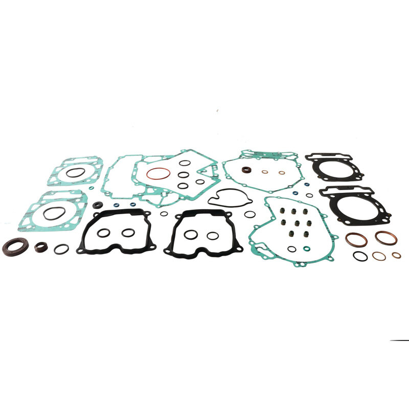 COMPLETE GASKET KIT W/SEALS SKANDIC SWT 800 07 12