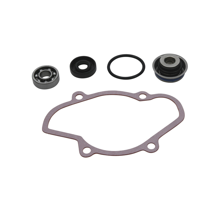 WATER PUMP REBUILD KIT SKI DOO 600 800