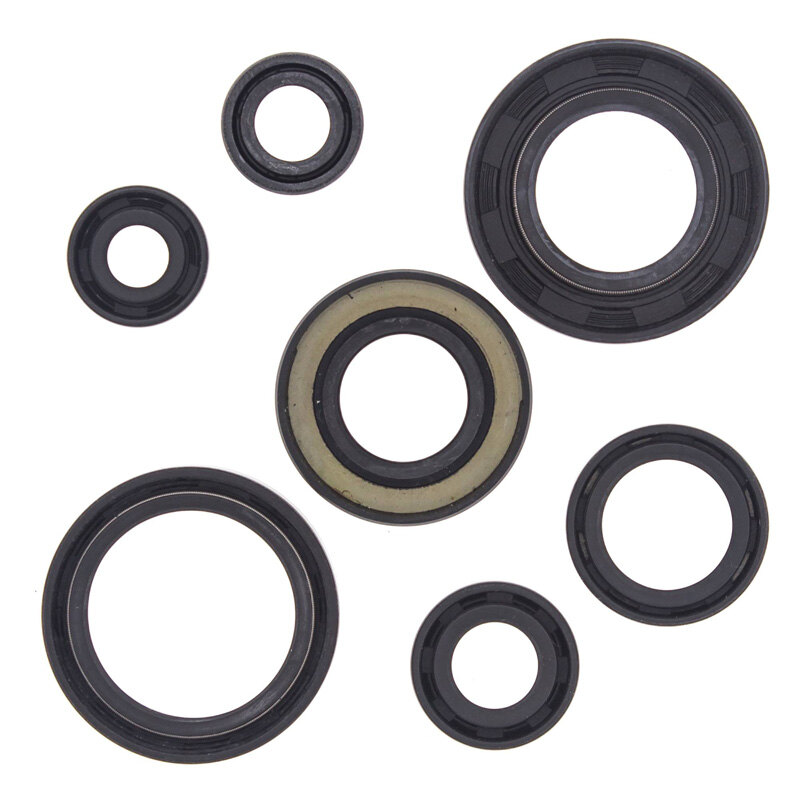 OIL SEAL KIT YFS 200 BLASTER 1988 06