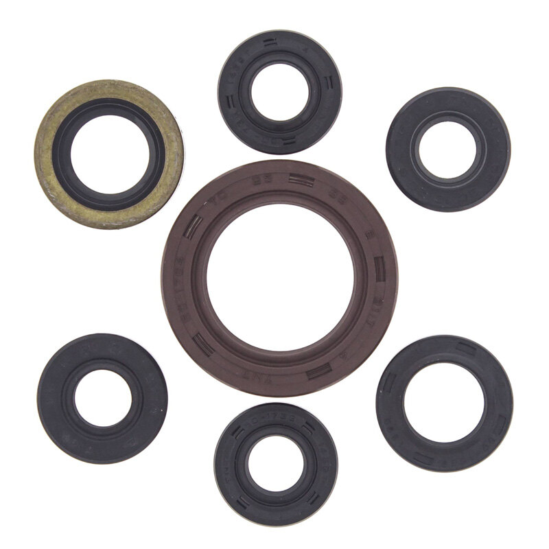 OIL SEAL KIT 400 DVX 04 08/KFX/LTZ400 03 09