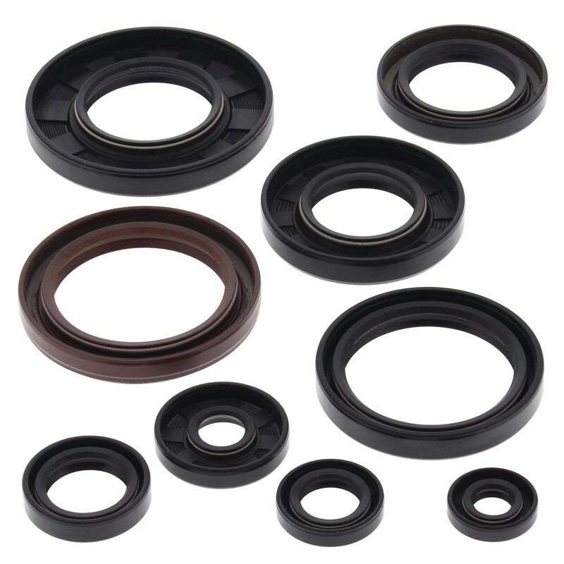 OIL SEAL KIT 660 GRIZZLY/RHINO 02 08