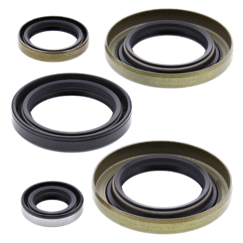 OIL SEAL KIT KX500 1983 84
