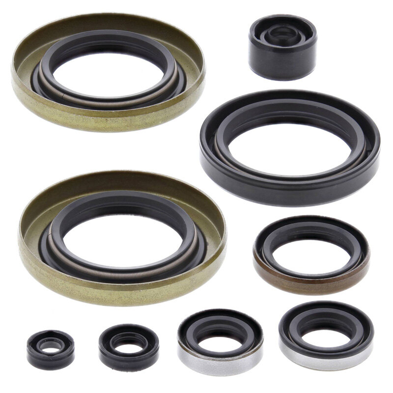 OIL SEAL KIT KX500 1986 87