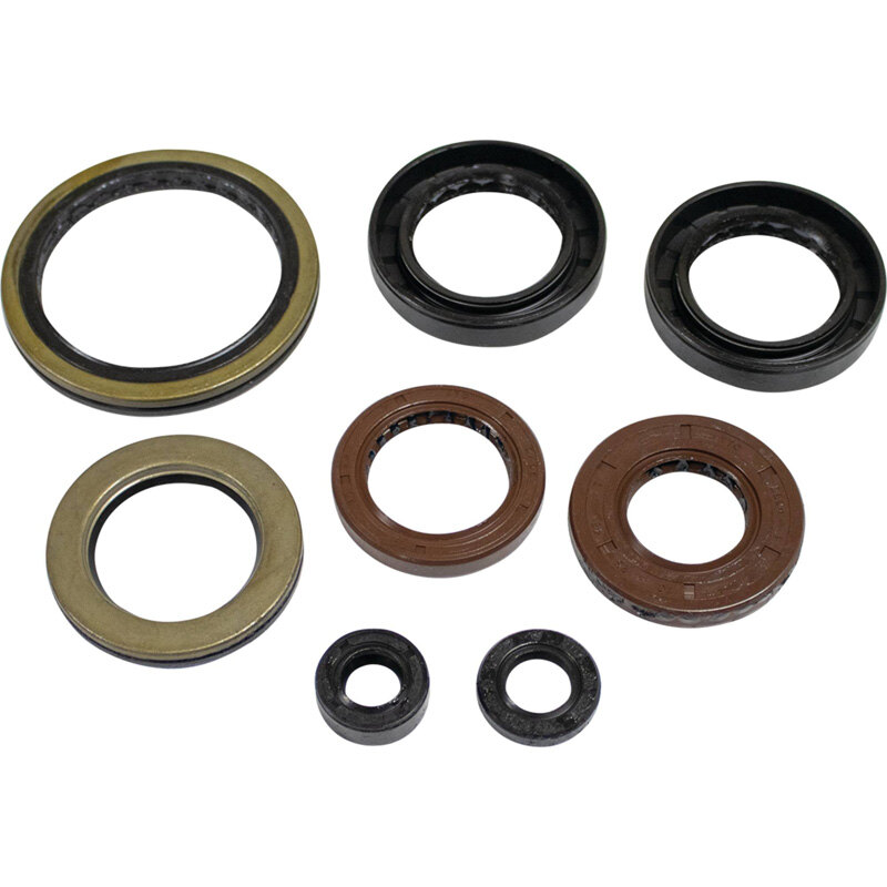OIL SEAL KIT A.C. 366 AUTO 08 10