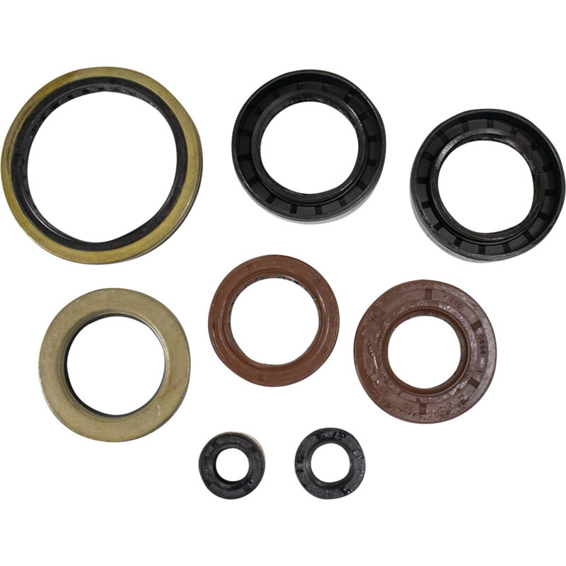 OIL SEAL KIT A.C. 366 AUTO 08 10