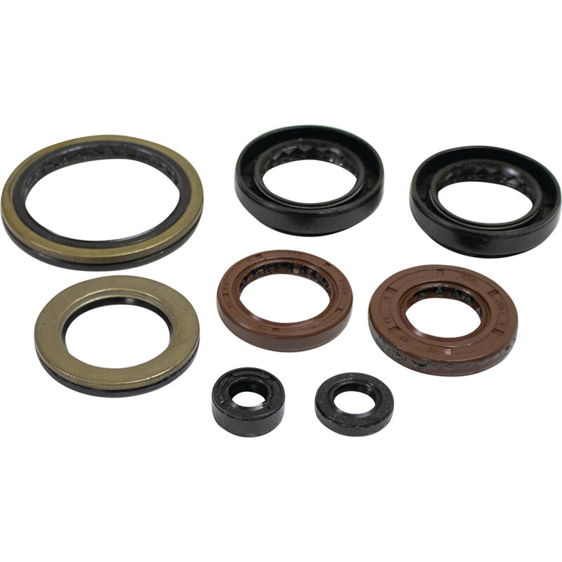 OIL SEAL KIT A.C. 366 AUTO 08 10
