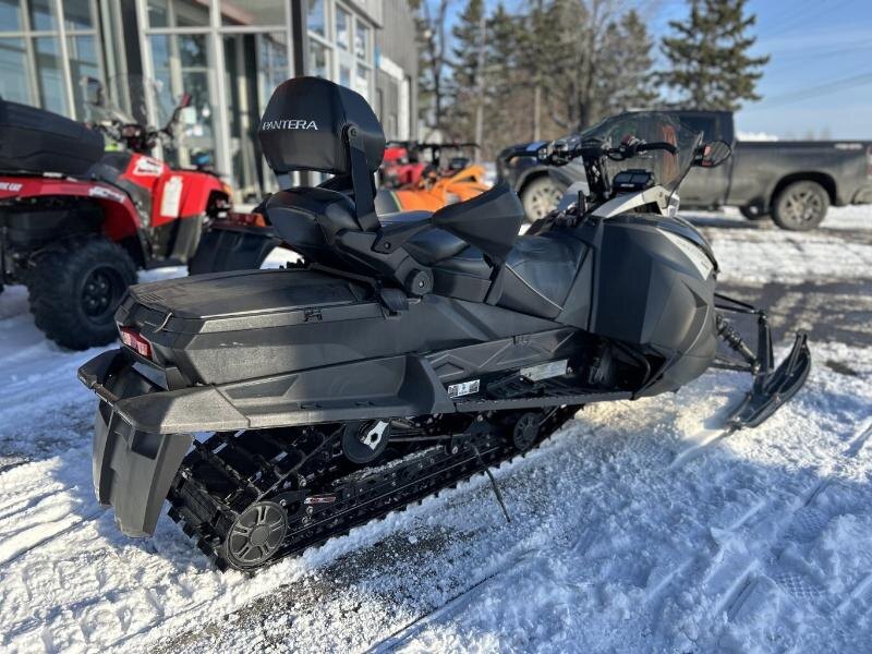 ARCTIQUE CHAT PANTERA 6000 2018