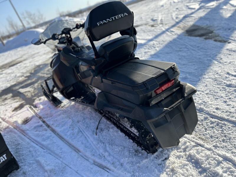 ARCTIQUE CHAT PANTERA 6000 2018