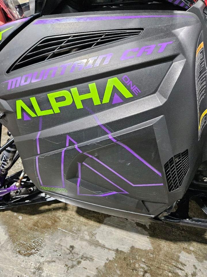 ARCTIC CAT M8000 Mountain Cat Alpha 1 154 2019