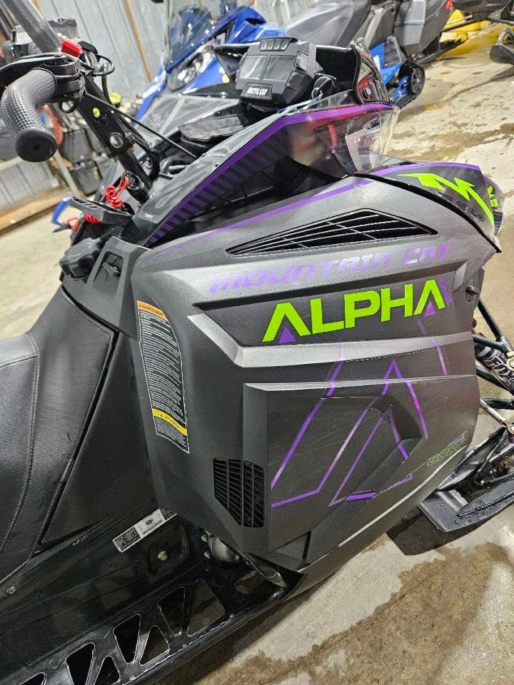 ARCTIC CAT M8000 Mountain Cat Alpha 1 154 2019