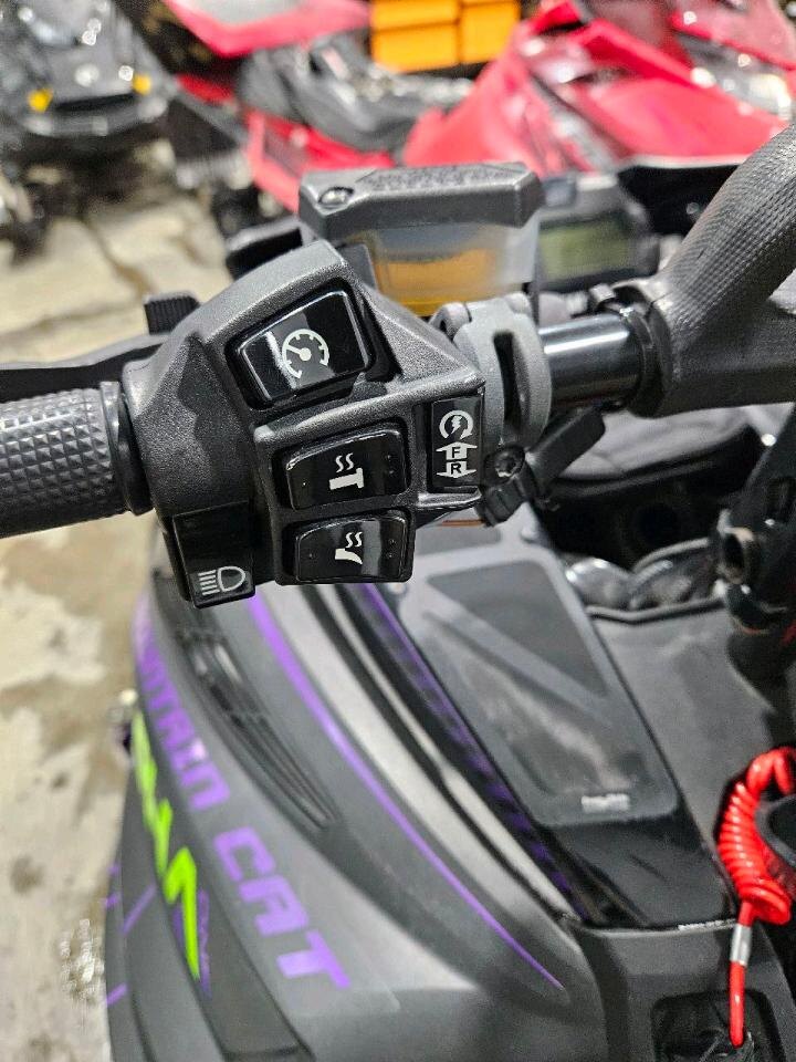 ARCTIC CAT M8000 Mountain Cat Alpha 1 154 2019