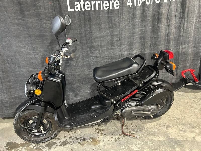 HONDA RUCKUS 50 2019