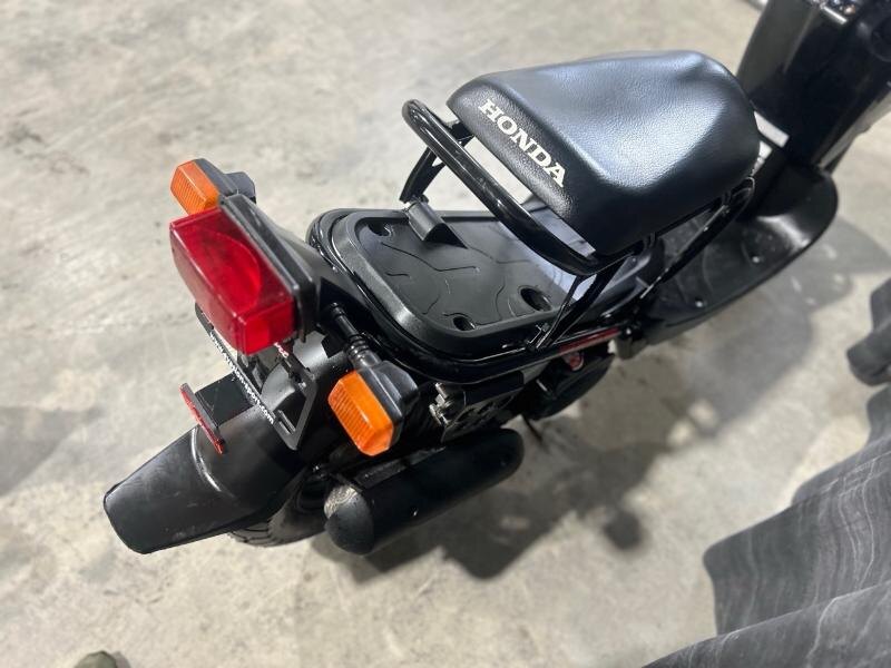 HONDA RUCKUS 50 2019