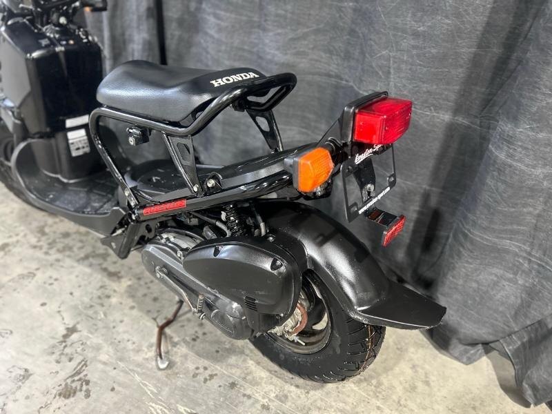 HONDA RUCKUS 50 2019