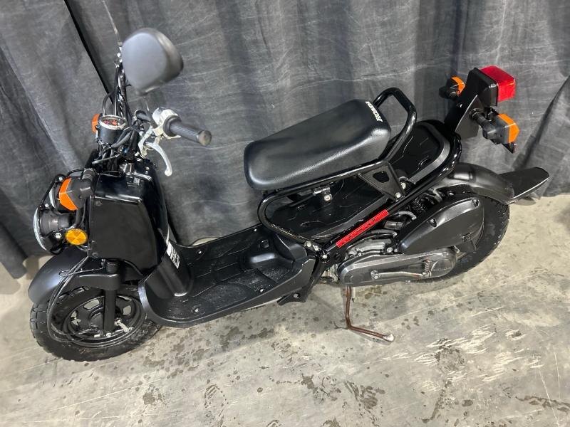 HONDA RUCKUS 50 2019