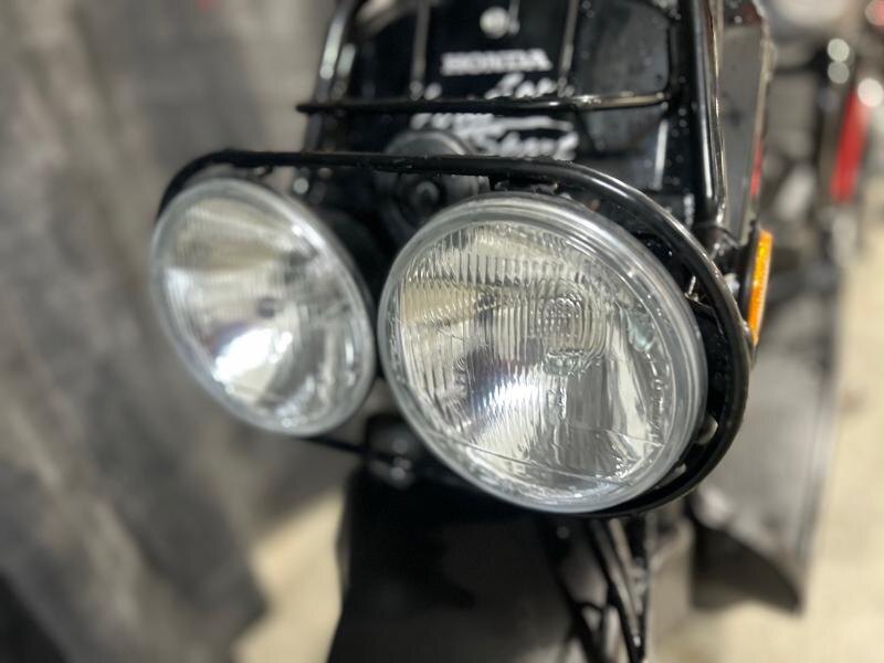 HONDA RUCKUS 50 2019