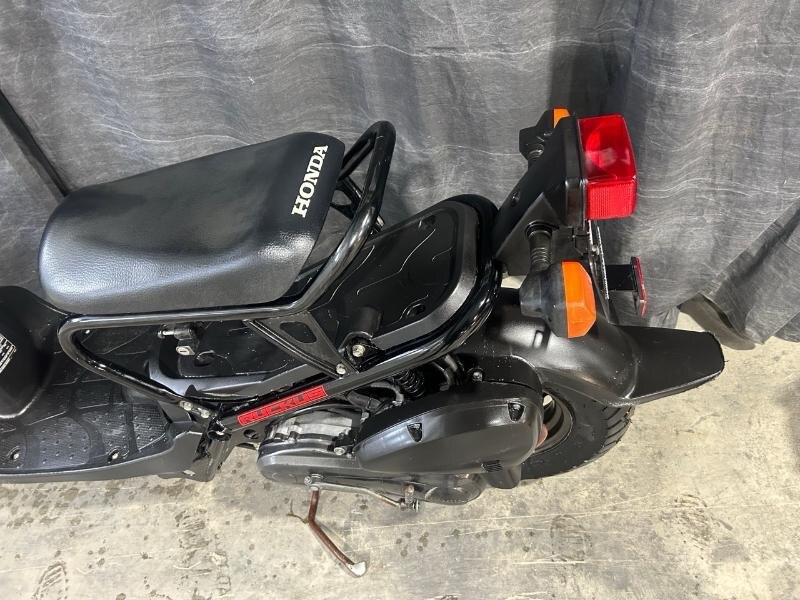 HONDA RUCKUS 50 2019