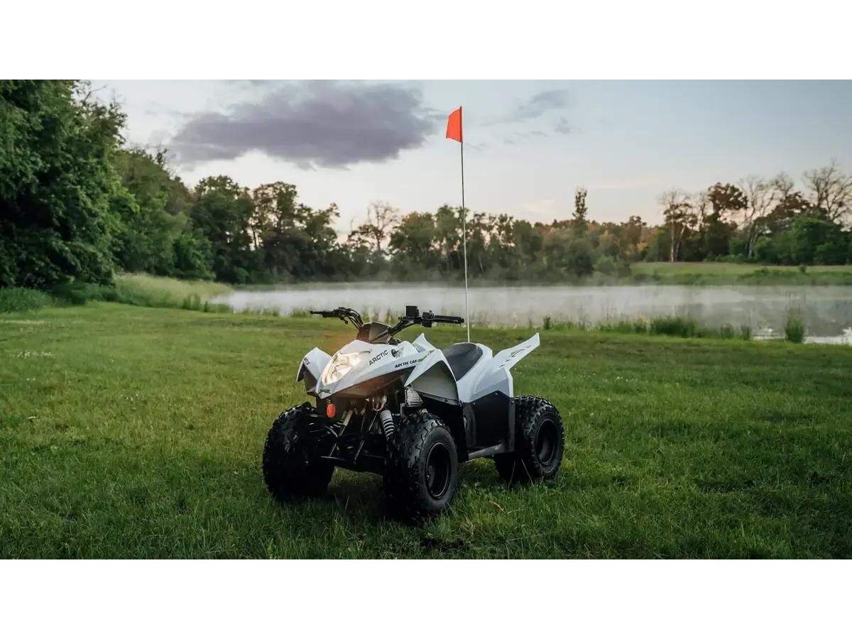 ARCTIC CAT Alterra 110 2027