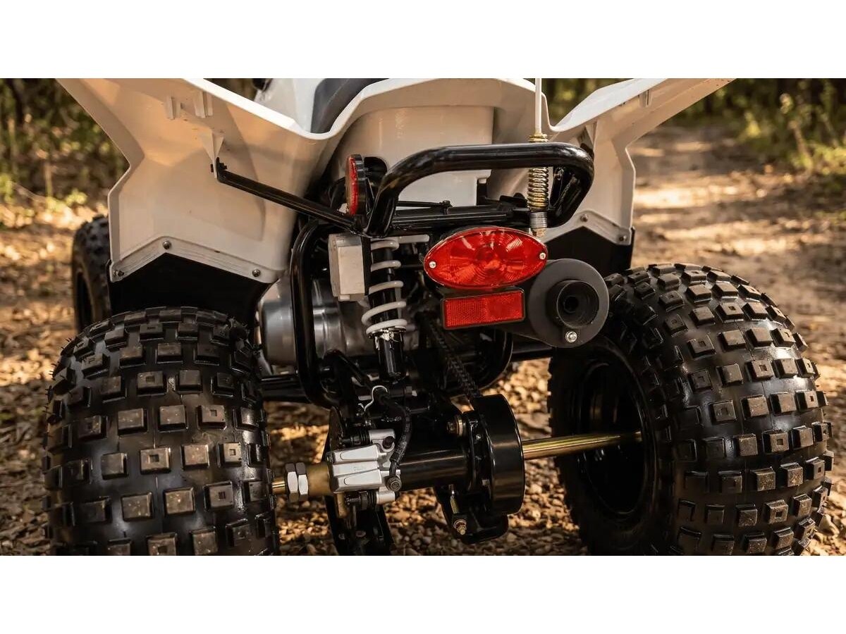 ARCTIC CAT Alterra 110 2027