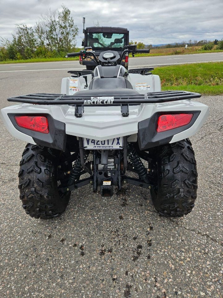 Arctic Cat Alterra 450 2024