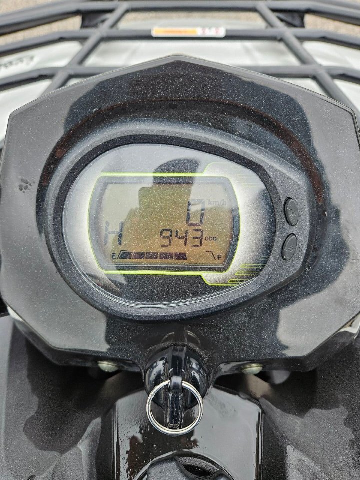 Arctic Cat Alterra 450 2024